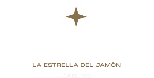 montesierra logo web